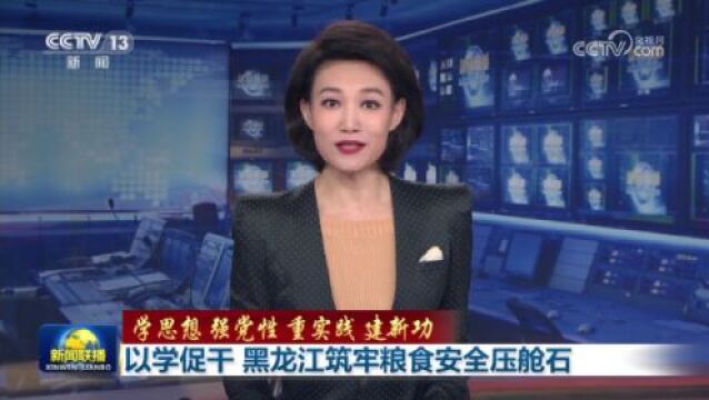 【学思想 强党性 重实践 建新功】以学促干 黑龙江筑牢粮食安全压舱石