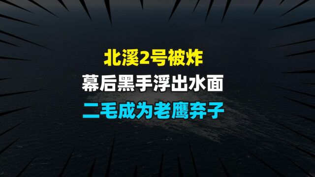 北溪2号被炸的幕后黑手浮出水面,二毛成为老鹰弃子?