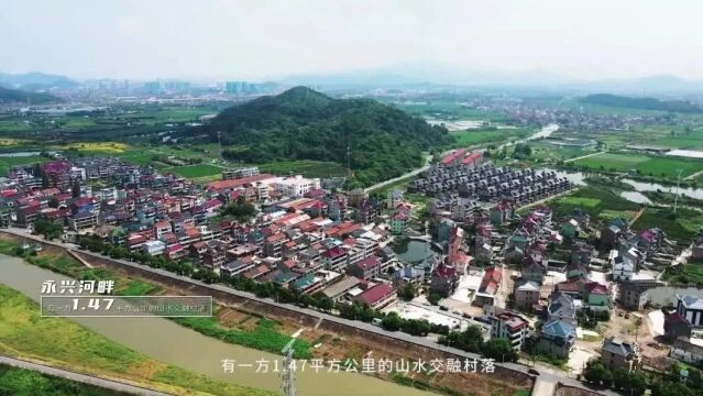 美丽乡村“进度条”再启!萧山又有三个村通过验收~