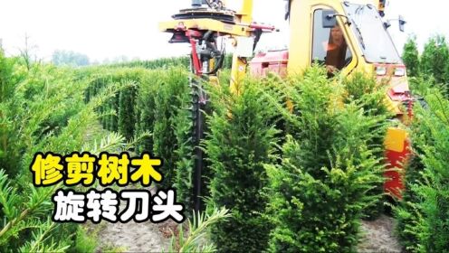 不可思议的树木修剪机，围绕树木转一转便剪完，3秒一棵树_高清1080P在线观看平台_腾讯视频