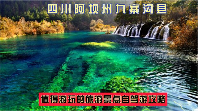 四川阿坝州九寨沟县值得游玩的旅游景点哪些?自驾游有何攻略?