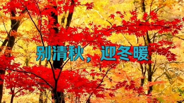 散文:别清秋,迎冬暖/作者:佚名