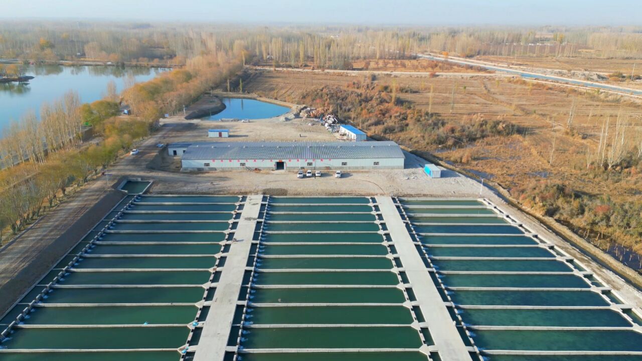 全疆最大的条形池冷水鱼养殖基地在乌什县建成并投入使用