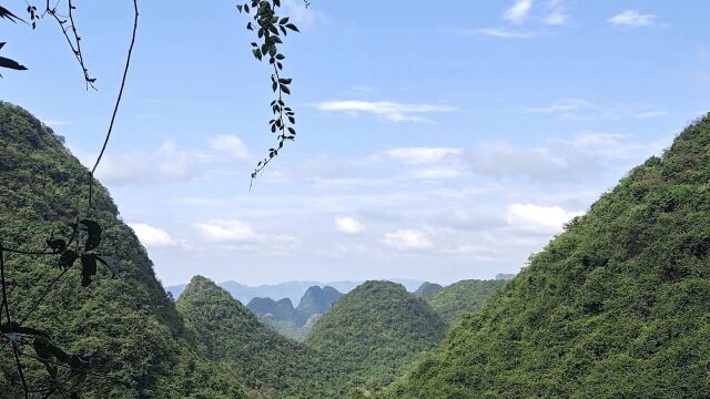 阿文翻山越岭只为赚点生活费,晚饭搞一道猪肉炒酸菜喝两杯