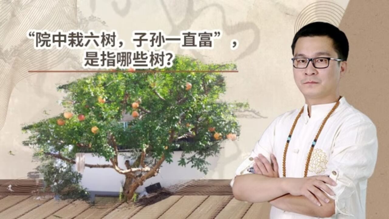 “院中栽六树,子孙一直富”,是指哪些树?_高清1080P在线观看平台_腾讯视频