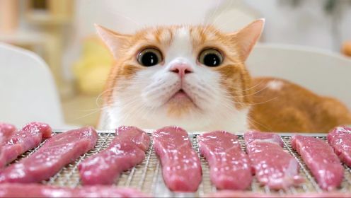  给猫自制鸭胸肉干，猫：我就吃亿口，就亿口！