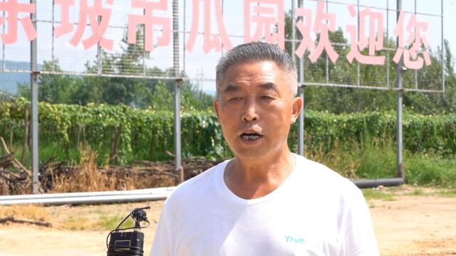 洋县谢村镇东坡村发展特色产业带动群众就业