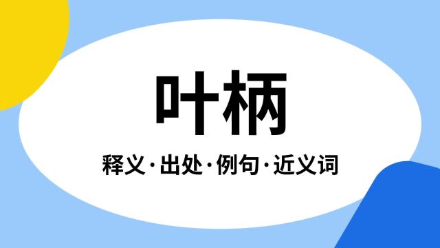 “叶柄”是什么意思?