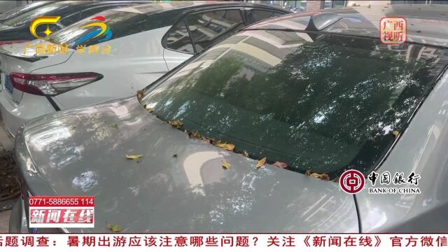 南宁:天降铁网砸坏车 车主理赔为何被拒?