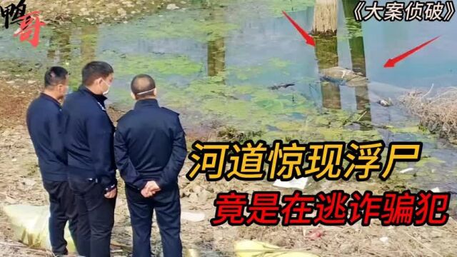 河中惊现浮尸,警方确定尸源用了四年半,发现死者竟是在逃诈骗犯