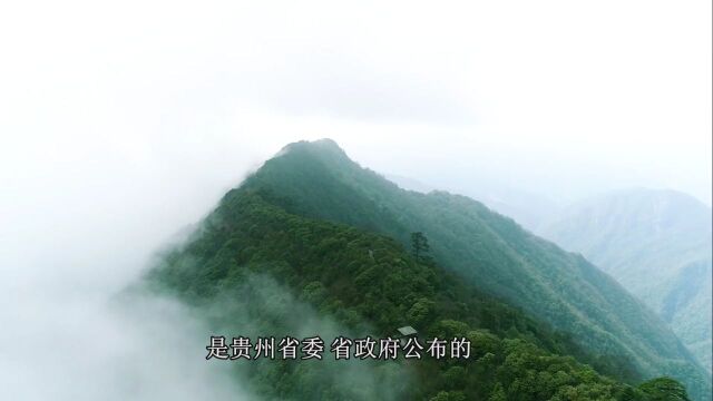 一样美得很!梵净山西线旅游攻略