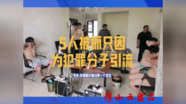 5人被抓,只因为为犯罪分子引流