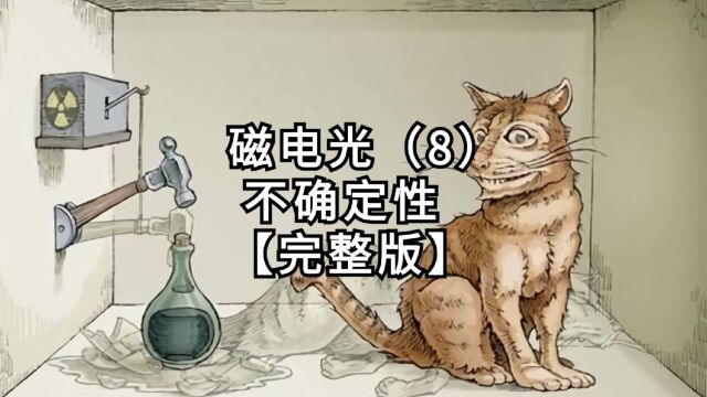 【第4篇《磁电光》】第8集:不确定性【完整版】