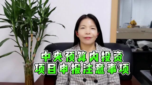 中央预算内投资项目申报注意事项