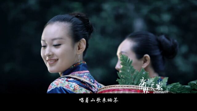 好听!《土家莓茶敬天下》剪辑版 张家界莓茶形象歌曲 音乐人陈树作品 廖芊芊演唱 仙境张家界峰迷全世界