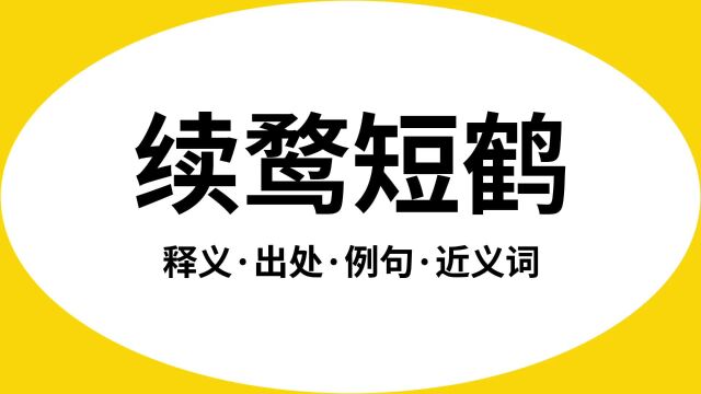 “续鹜短鹤”是什么意思?