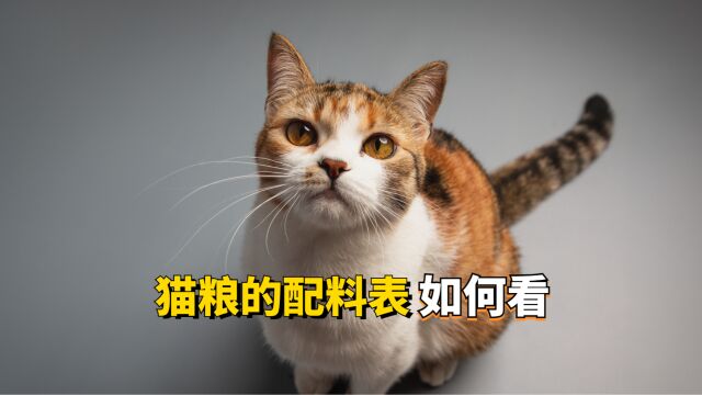 猫粮的配料表如何看?码住认真看