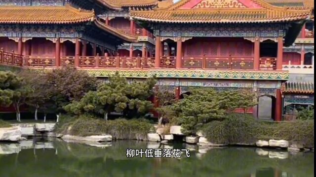 美丽的风景