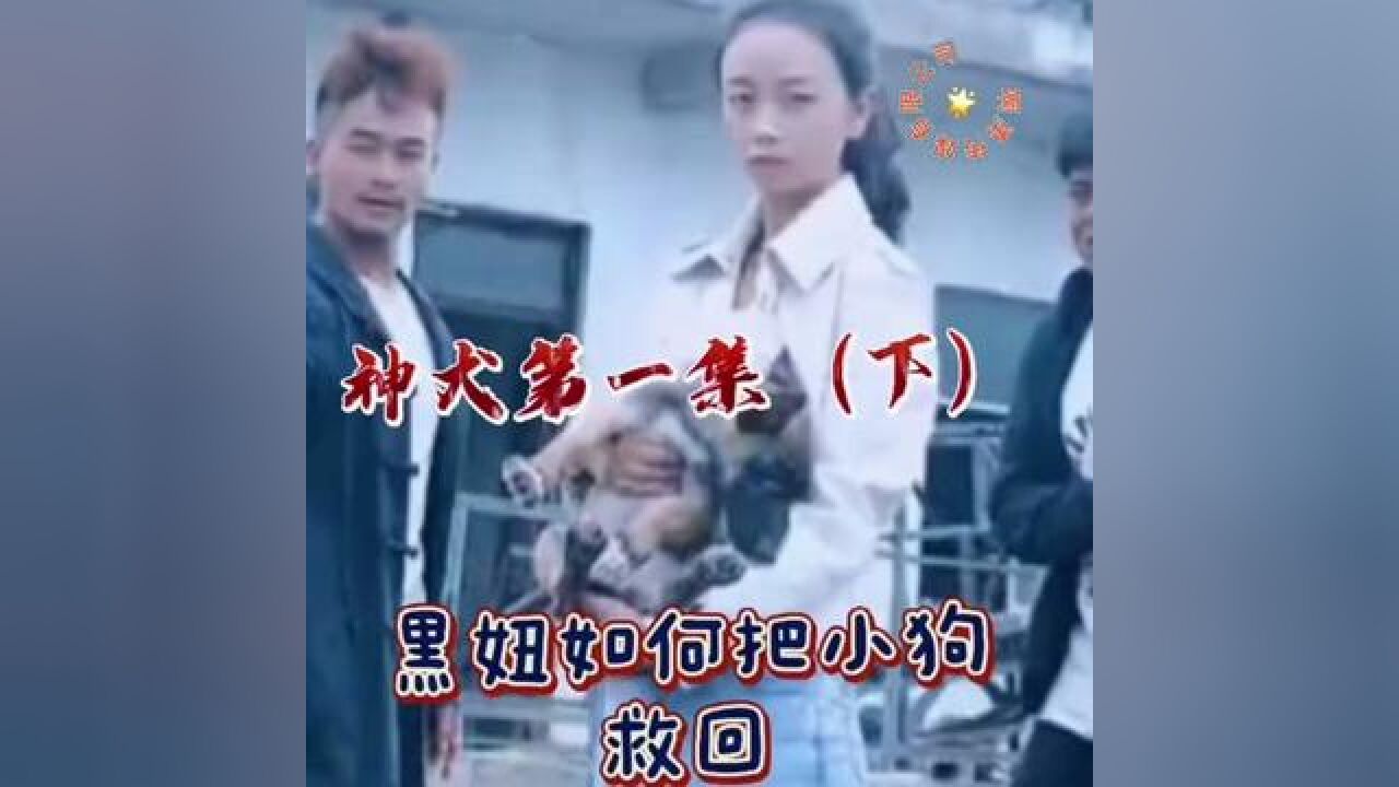 这只奇怪过的狗狗如何把这小狗狗 救回家的#原创视频#因为一个片段看了整部剧#每个动作都是戏#正能量短剧_高清1080P在线观看平台_腾讯视频