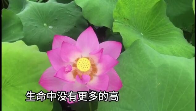 LD1292 韧性 (美国)史蒂夫ⷧ𜦖