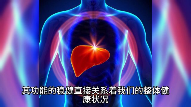 肝不好怎么调理 ,这几种方法一定要记好