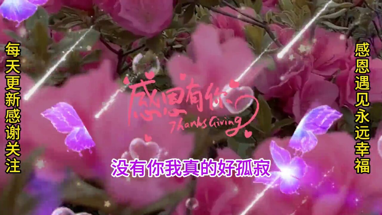 我不能没有你,我是真的真的好想你,《我在等你你在哪里》送给你