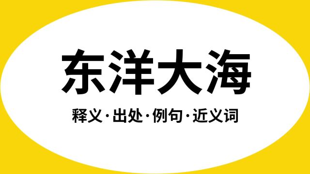 “东洋大海”是什么意思?