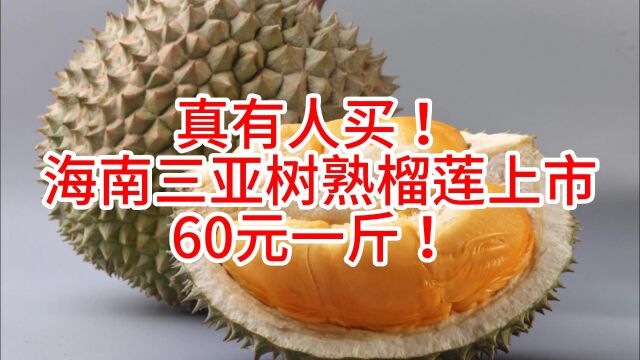 真有人买!海南三亚“树熟”榴莲上市,60元一斤!