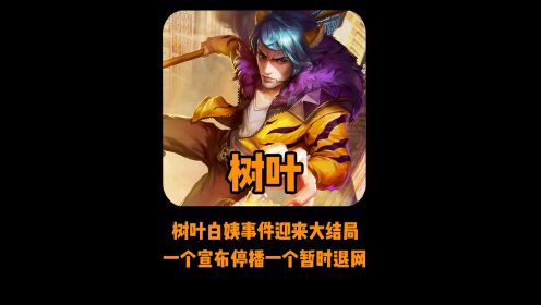 树叶白姨最终篇:两人分别向寂然道歉,一个停播一个退网!_高清1080P在线观看平台_腾讯视频