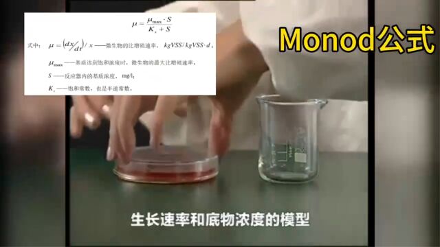 污水处理行业最出名的公式,monod公式和米门公式