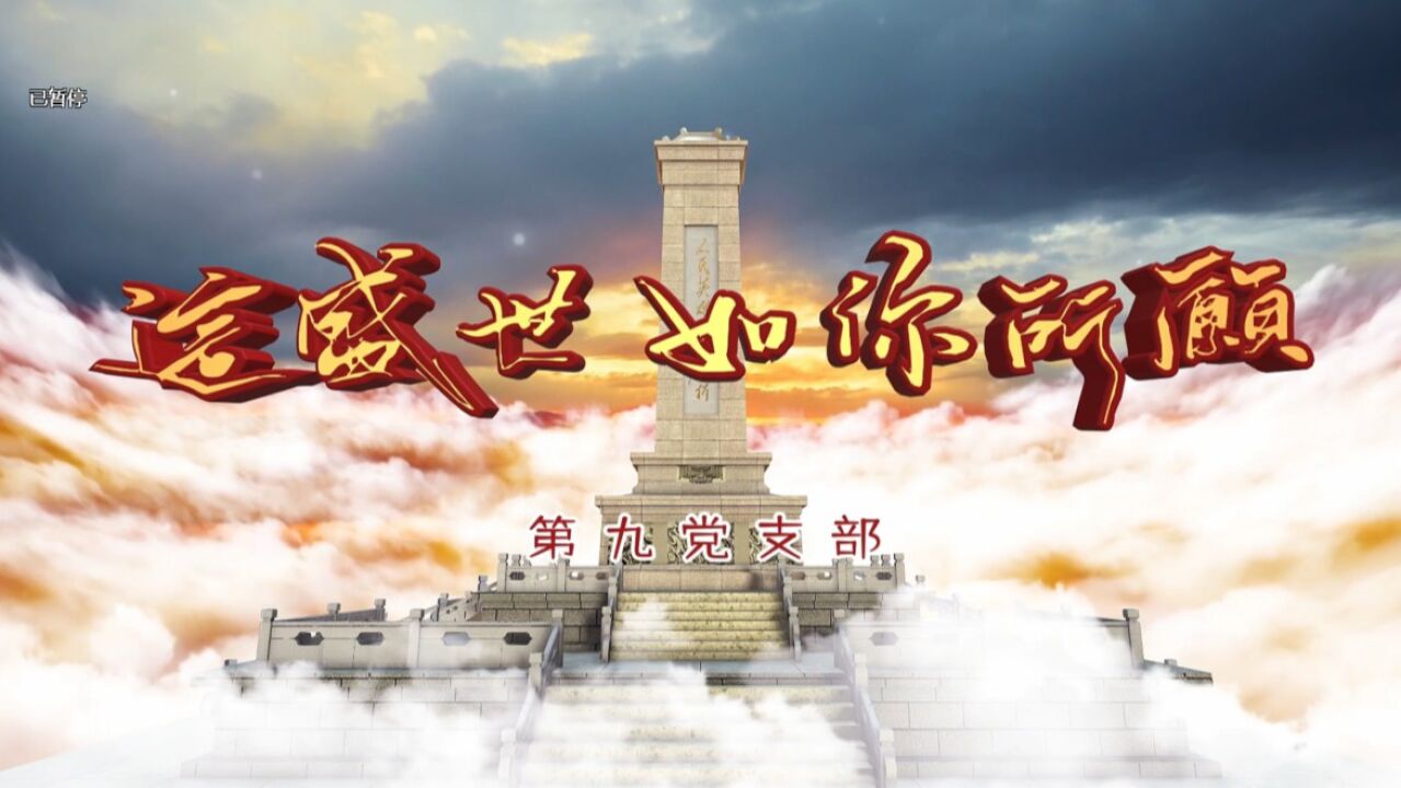 《这盛世如你所愿》第九党支部