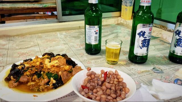 冷雨夜乡村饭店美食的温暖,俩小菜仨啤酒,犒劳驴哥忙碌的一天! #生活的烟火气息[话题]# #乡村味道[话题]# #乡村美食