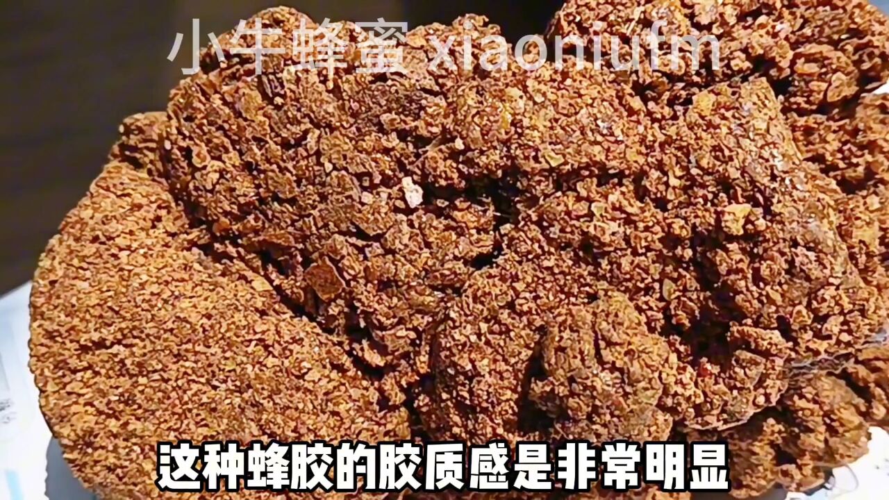 蜂胶什么人不能吃鬼最怕什么(蜂胶不适合哪种人群吃)
