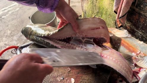北方的朋友吃过一次9斤的野生草鱼鱼生直呼要留下来做横县人。