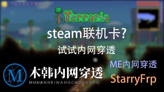 泰拉瑞亚联机教程,sakura frp联机卡?steam联机不稳定?试试这三款内网穿透工具,总有一个是好用的