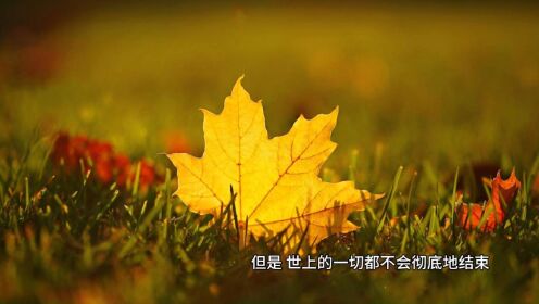 思想 /约瑟芬·约翰逊：十一月的此刻  #思想 #约瑟芬·约翰逊 #十一月 #名人名言 #人生指南