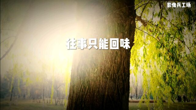 经典歌曲分享《往事只能回味》