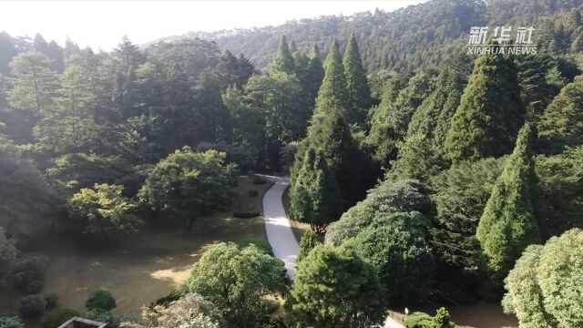 走进中科院庐山植物园 聆听生物多样性保护的故事