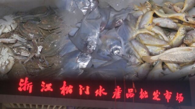 温岭“第一网”海鲜上岸 龙头鱼占大头