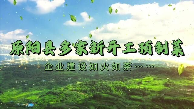 河南原阳:多家新开工预制菜企业建设如火如荼……