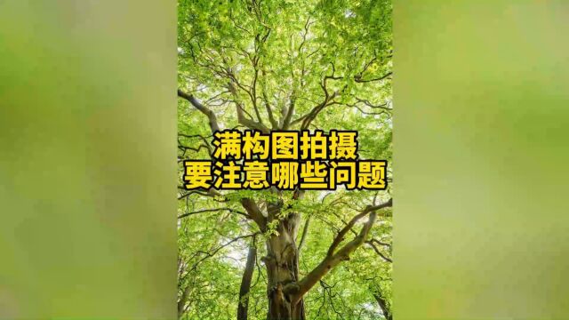 满构图拍摄务必注意的问题