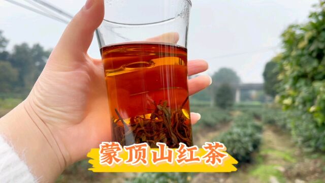 探索红茶的魅力,给你不一样的味觉体验,亲民价也能喝出好滋味