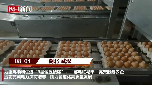 【视频】为了让蛋鸡顺利住进“9层恒温楼房”,他们在高温高负荷之下提前完成电力增容