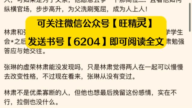 官途高升一鸣则惊天下人(林肃小说)◇全文阅读无删减