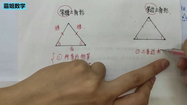 第一讲|人教版八上数学《高线、中线、角平分线》基础同步课程