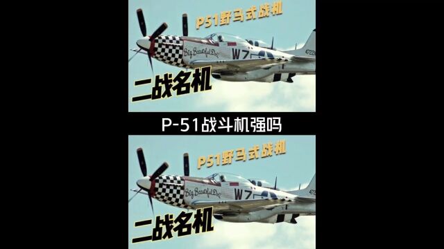 P51野马战斗机整个二战击落敌国各式战斗机约4950架,那么,P51战斗机真的有这么强吗?#军事科普 #军事武器 #p51野马