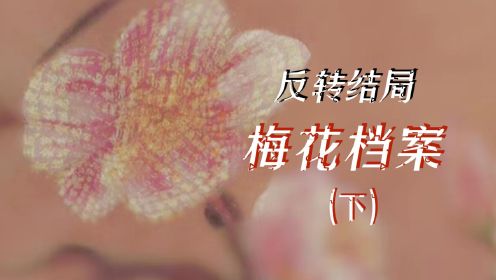 【疑人】解说悬疑谍战剧《梅花档案》（下-5）！