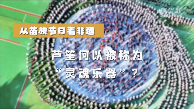 从苗族节日看非遗|芦笙何以被称为“灵魂乐器”?