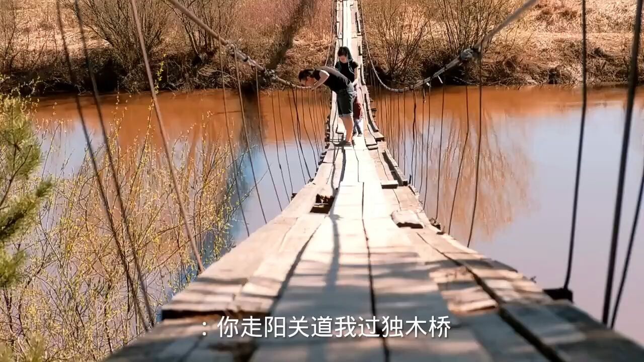 你走阳关道我过独木桥