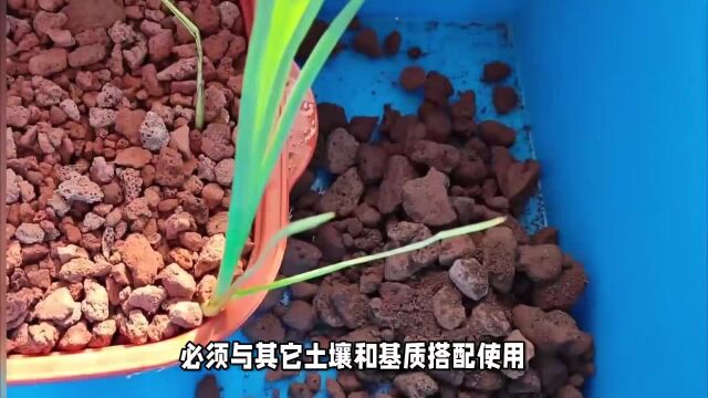 火山石养花的优缺点